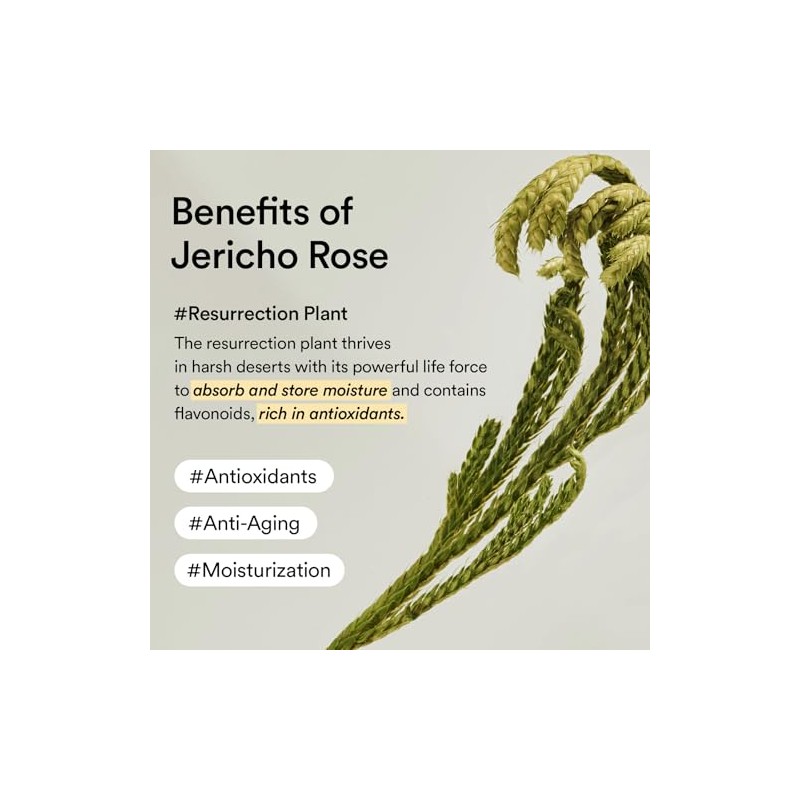 Abib Collagen Eye Crème Jericho Rose Tube for Dark Circles