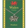 Welsh Dragon Pewter Pendant Wales Souvenir Gift Necklace Charm Chain Cymru
