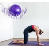 Diocos Exercise Ball Holder Yoga Rack Corner Hanging Storage Net