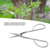 Bonsai Scissors Stainless Steel Leaf Bud Scissors Branch Cuttings Bonsai