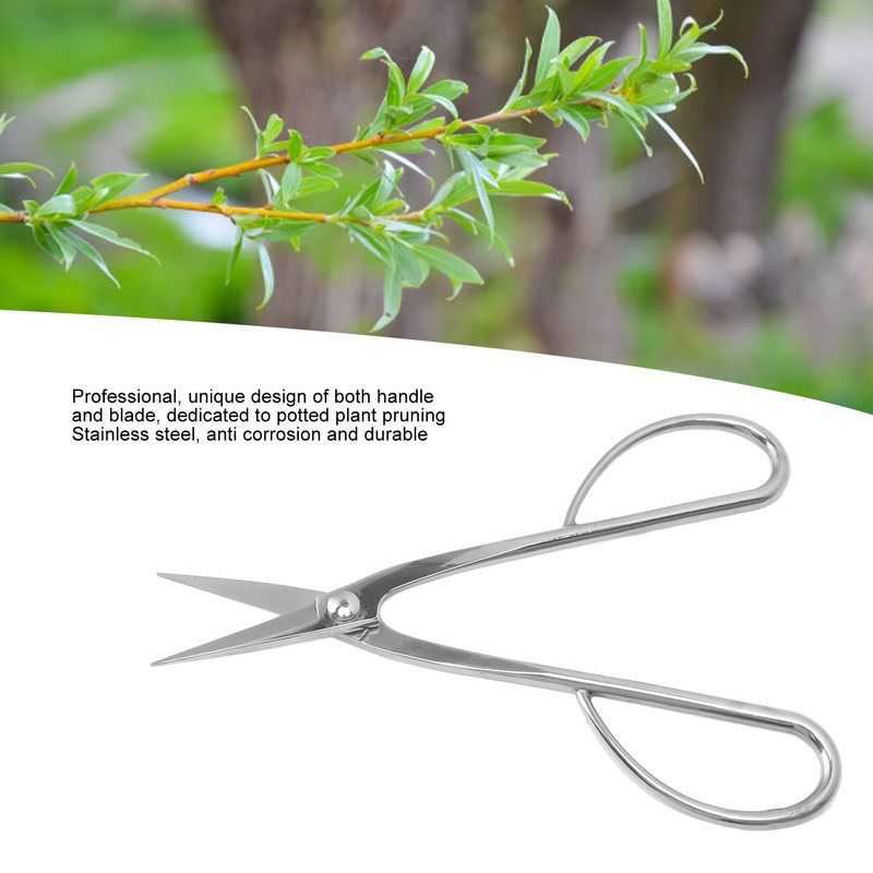 Bonsai Scissors Stainless Steel Leaf Bud Scissors Branch Cuttings Bonsai