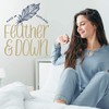 Feather & Down Feather & Down Sweet Dreams Breathe Well