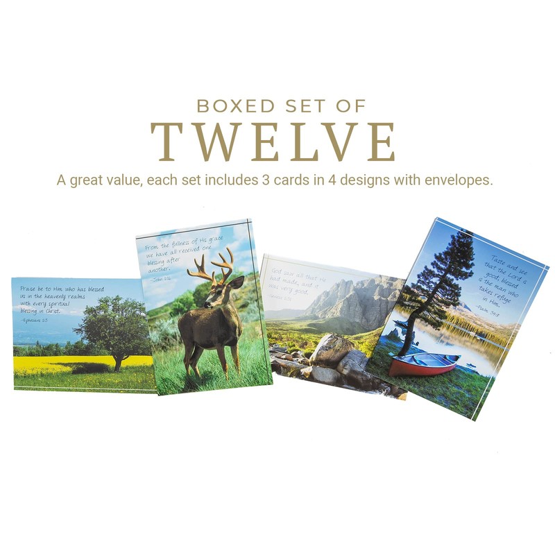 Divinity Boutique Assorted Birthday Cards for Him - 4 Design