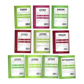 Gardeners Basics, Salad Greens Lettuce Seeds Heirloom Vegetable Seed 23,000 Seeds for Planting Indoors and Outdoor 10 Packs - Buttercrunch, Romaine, Iceberg, (and More) Leaf and Head Variety Pack