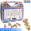 Taiss 618pcs Grade 8.8 Bolts and Nuts Kit,Bolt Assortment Kit