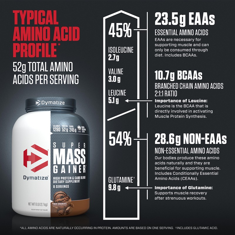 Dymatize Super Mass Gainer Protein Powder, Rich Chocolate, 52g Protein,