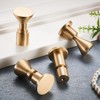 TECI Solid Brass Gold Hooks Heavy Duty Wall Mounted. Perfect