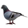 Simulation Foam Pigeon Model, Artificial Imitation Animal Fake Pigeon Simulated