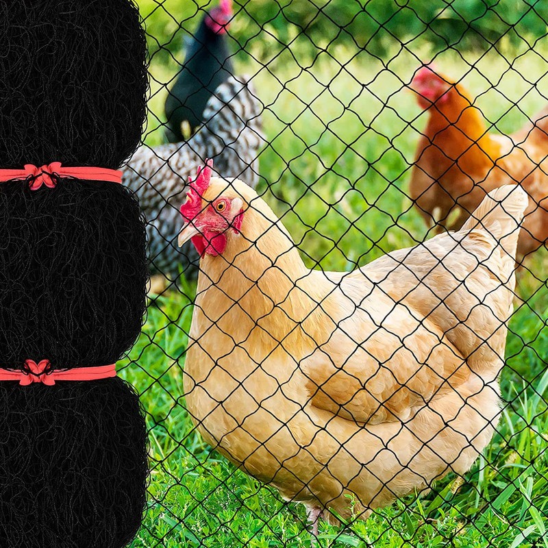 Bird Protective Net Light Weight Reusable Protect Fruit Tree Net