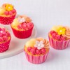 Anniversary House Candy Pink Polka Dot & Gingham Cupcake Cases