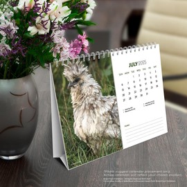 Chickens | 2025 7.5 x 6 Inch Monthly Double-View Easel Desk Calendar | BrownTrout | Domestic Farm Animals