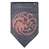Game of Thrones Targaryen House Sigil Banner Indoor Fabric Wall
