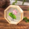 Moda Crafts Transparent Embroidery Kit (Lotus)