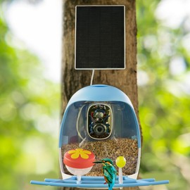 Aomeisi A6 AI Bird Feeder with 2K Solar Camera Squirrel Feeder Bird Identify Hummingbird attractant Motion Detection Two Way Audio SD Slot Gift for Bird Photography Bird Lover
