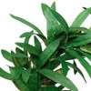 1Pc Greenery Vine Artificial Greenery Garland Vine for Wedding Parties