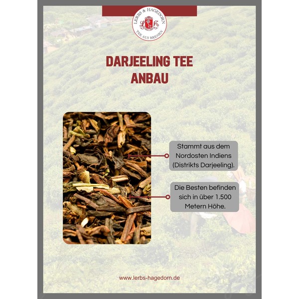 Lerbs & Hagedorn, Darjeeling Black Tea First Flush Second Flush