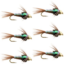 The Fly Fishing Place Tungsten Bead Head Nymph Fly Fishing Flies - Flashback Pheasant Tail Trout Fly - Nymph Wet Fly - 6 Flies Hook Size 18