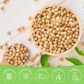 TRINIDa Soy Wax Flakes, Premium Natural Candle Wax 10LB, 100% Soy Wax for Candle Making from Organic Farm, No Additives, Harmless and Pure