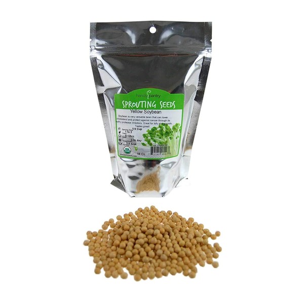 Certified Organic Dried Yellow Soybeans - 1 Lb - Perfect