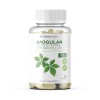 Terraform Nutrition Gynostemma Pentaphyllum Supplement – 98% Gypenoside Extract (20:1)