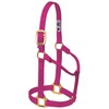 Weaver Leather Original Non-Adjustable Halter, Raspberry, Average Horse Size