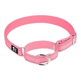 haoyueer Adjustable Martingale Safety Training Dog Collar, Soft Neoprene Padded Breathable Nylon Pet Collar for Small Medium Large Dogs (S, Pink)