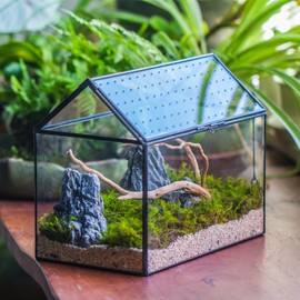 NCYP NCYP House Shape Glass Terrarium with Acrylic Lid - 10.2x5.9x8.2 Inches Large Geometric Box for Snails, Ferns, Succulents, Air Plants, Indoor Tabletop Decor, Handmade (Terrarium Only)