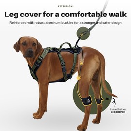 ANAFNI No Pull Dog Harness for Large Dogs, Heavy Duty Tactical Dog Harness with Handle, Easy Control and Training Better Leash Manners (Moss Green, Medium)