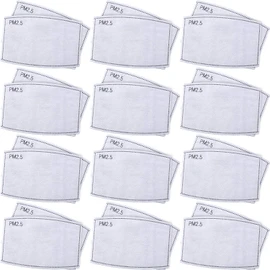100 Pieces Anti PM2.5 Activated Carbon Mask Filter Face Masks Insert 5 Layers Protective Filter Breathing Mouth Mask Filter for Outdoor Activities 4.9 x 3.1 Inches