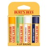 Burt's Bees Lip Balm - Beeswax, Cucumber Mint, Coconut &