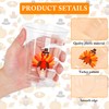 Thankgiving Plastic Cups Turkey Party Cups Autumn 12oz Disposable Clear