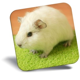 Destination Vinyl ltd Fridge Magnet - Cute White Guinea Pig Pet for Office, Cabinet and Whiteboard, Magnetic Stickers, 44816