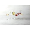 Zwiesel Glas Echo Crystal All Purpose Wine Glass, 19 Ounce