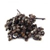 Dried Fruit: Hovenia dulcis (Raisin Tree) Fruit/Hut Gae Yeol Mae 4oz / South Korea Imported