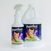 Purrfect Potion - CATastrophe Remover (Starter Pack: 1 Quart +
