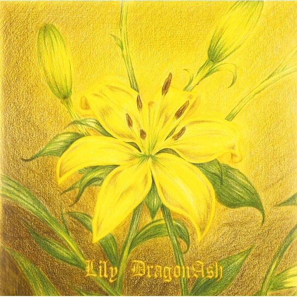 Lily(初回限定盤)