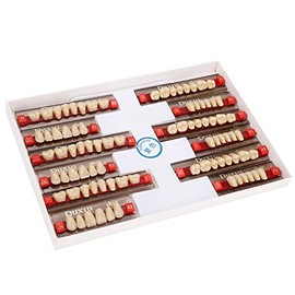 Dientes postizos de resina sintética | Resina acrílica de alta calidad para dentistas | Modelos de prótesis completas e individuales | Resistentes a los rayos UV y fáciles de limpiar | 12 tiras por paquete
