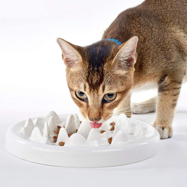 Generic Slow Food Bowl for Cats,Fun Interactive Pet Feeding Bowl,Fish