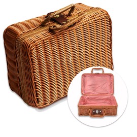 Nicheez Picnic Basket Bento Basket (Inner Fabric Ant)
