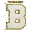 Iron on Letter Patch 3Pcs Varsity Glitter Chenille Letter Patches