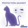 Hartz UltraGuard Purple Flea & Tick Collar for Cats and