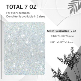 Gilprop 7oz / 200g Glitter Paint Additive Glitter for Painting Walls Silver Holographic for Painting Walls for Luminous Paint Finish on Interior or Exterior Wall, Ceilings, Wood, Varnish and Furniture