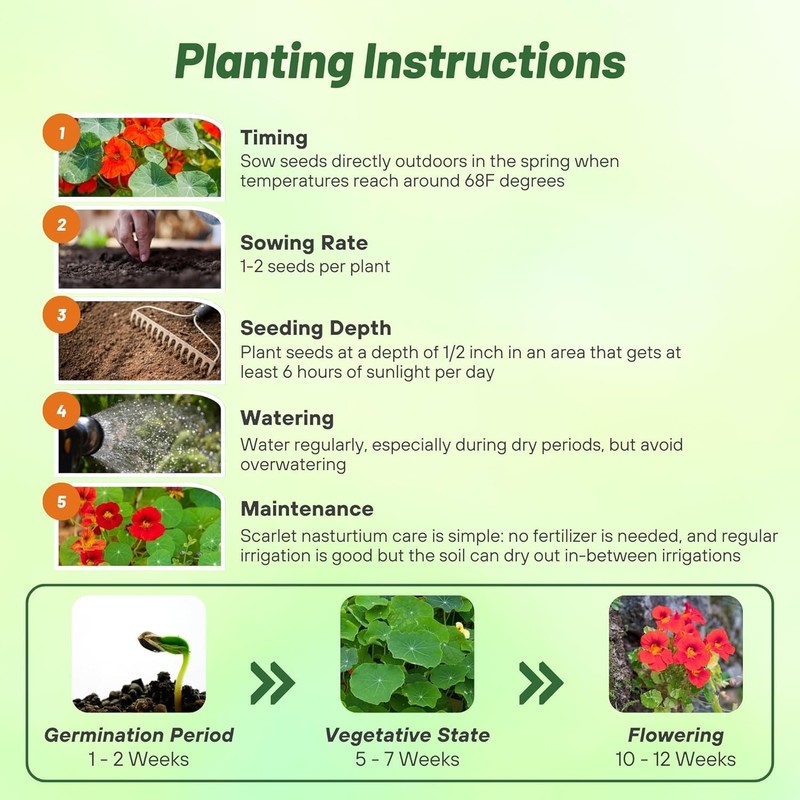 Outsidepride Double Gleam Scarlet Nasturtium Seeds - 200 pcs Annual,