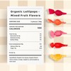 Candy Tree Organic Lollipops Assorted Flavors | No Added Sugar,