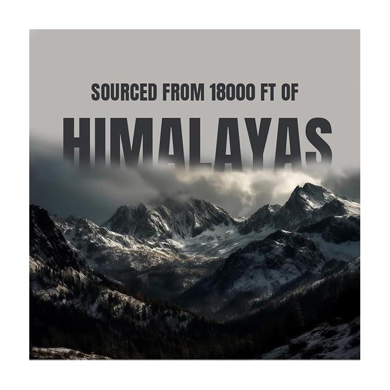 Pure Himalayan Shilajit Sticks with Organic Honey & Saffron –