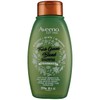 Aveeno Shampoo Fresh Greens Blend 12 Ounce (Thicken) (354ml) (2