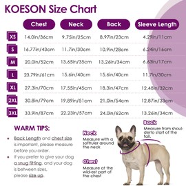 KOESON Dog Recovery Sleeve Front Leg, Pet Recovery Suit for Female Male Dogs to Stop Licking, Long Sleeve Dog Wound Cover, Pet Spay Recovery Onesie for Wound Heal Care, Collar Cone Alternative