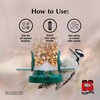 C&S Woodpecker Suet Nuggets, Outdoor Wild Bird Food for Woodpeckers,