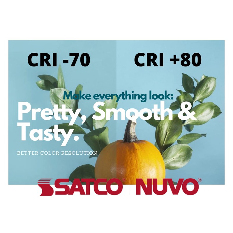 Satco S29877 Candelabra Bulb in Light Finish, Clear