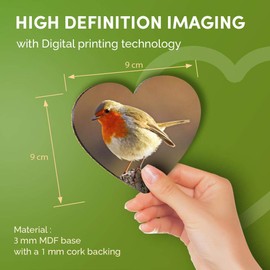 Destination Vinyl ltd Great Coasters (Set of 4) Heart - Robin Redbreast Bird Animals Birds Drink Glossy Coasters/Tabletop Protection for Any Table Type #8701